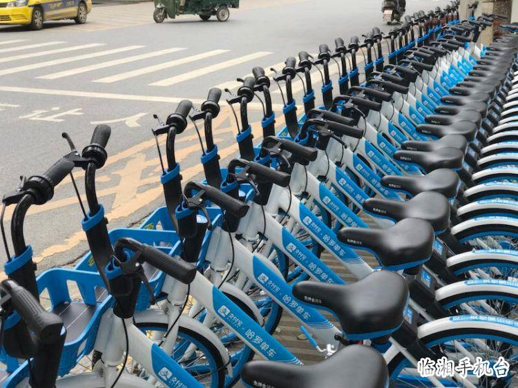 共享单车来临湘了,2000辆共享单车即将投入使