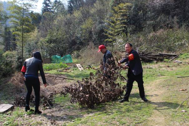 5005dea9512306493e99eb6369e7fca