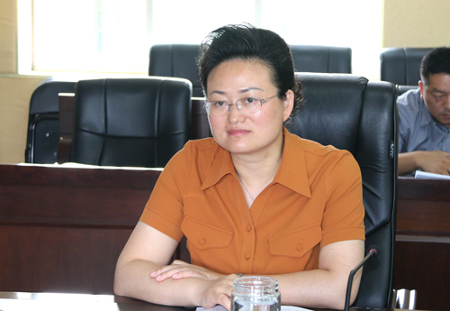 市委书记李美云主持召开招商引资调度会