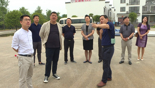 新辰控股董事长杨飞来我市考察钓具产业创新服务综合体项目 李美云