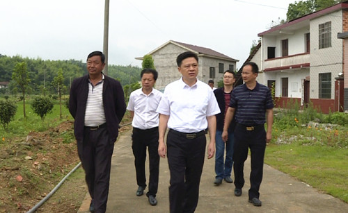 县区 临湘市 聂市镇