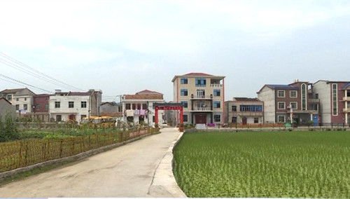 桃林镇清泉社区统一谋划人居环境大改观