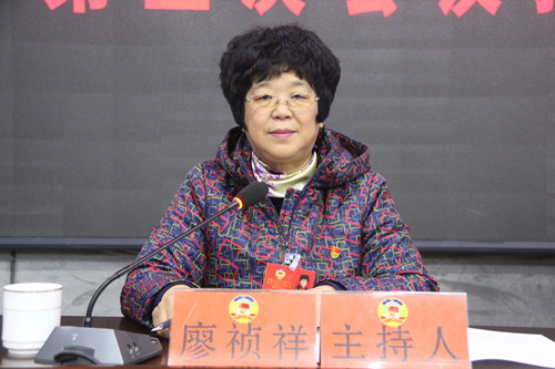 政协临湘市第九届委员会第五次会议召开预备会议