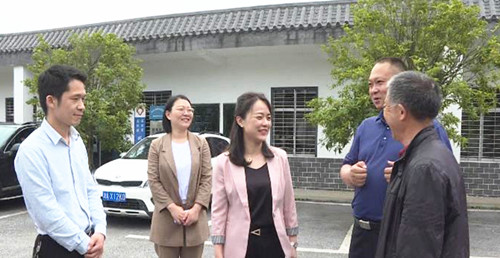 市领导到忠防镇调研乡村振兴工作