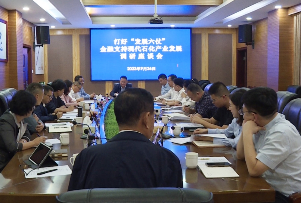 石化企业座谈会009_副本.jpg 石化企业座谈会009_副本.jpg