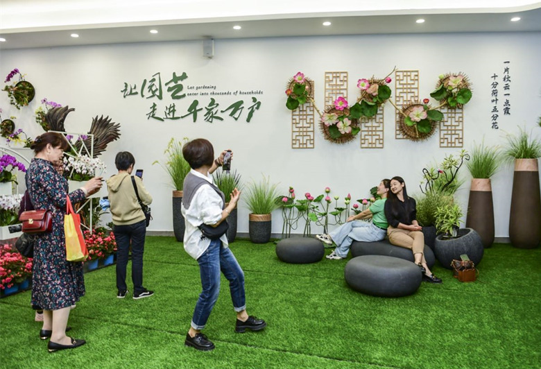 家庭园艺展示现场。方阳摄