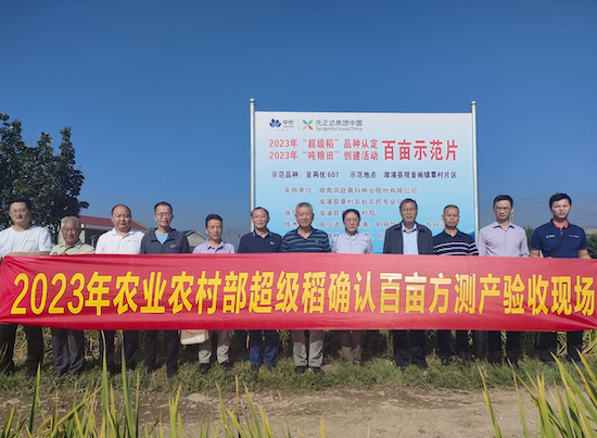 验收现场。曾燕摄