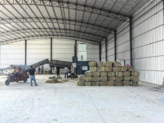 (南县武圣宫镇沿河堤村秸秆加工现场。受访单位供图)