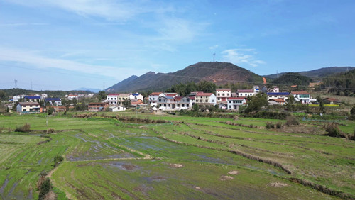 长塘镇何洞村移风易俗过清明文明祭祀倡新风
