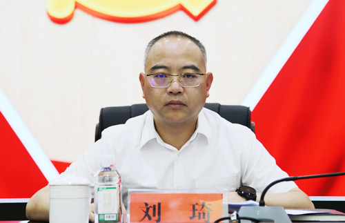 全市优化营商环境工作推进会召开 刘琦出席