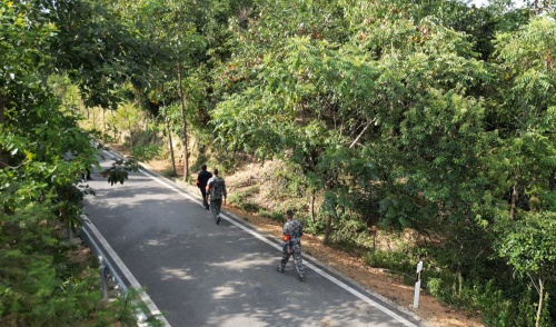 五尖山国家森林公园保护中心:压实防火责任 筑牢安全防线-临湘市政府