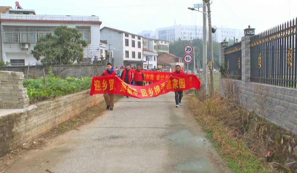 �ƺ��ֵ��������������ִ����� ����������