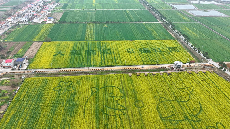 ��������3����Ѯ�ٰ���߽��Ͳ˻���