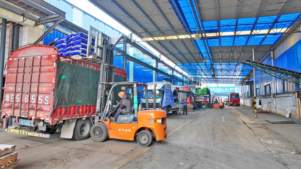 ��Ҷ���������������϶��� ȫ������������