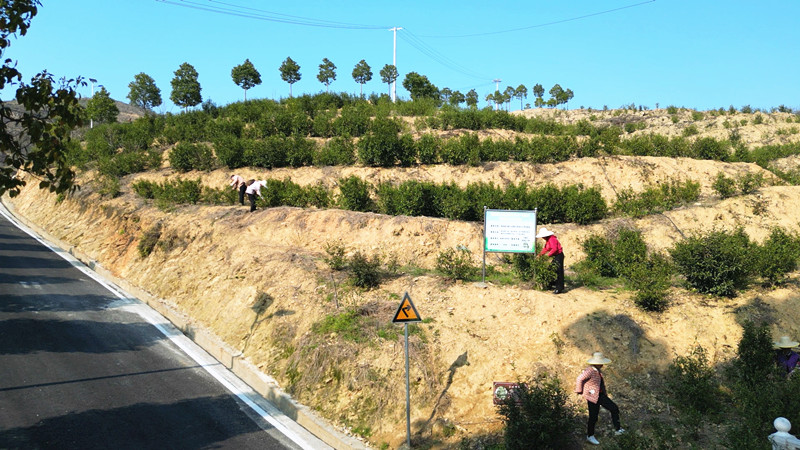 ������������������ǰ������ɽҰ �����ʡ��ӹ��ϴ���