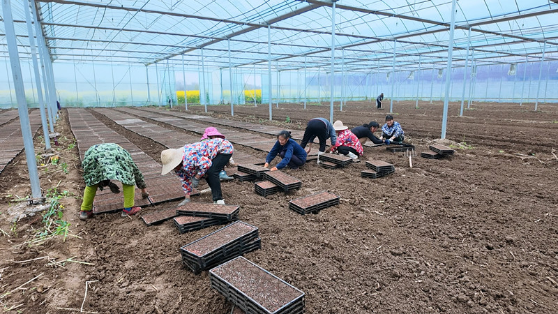 ������Ѽ���壺���ܴ�������æ �Ƽ�����������