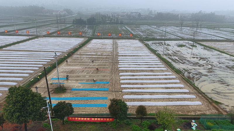 ̹������ץũʱ������ ����æ����վ�