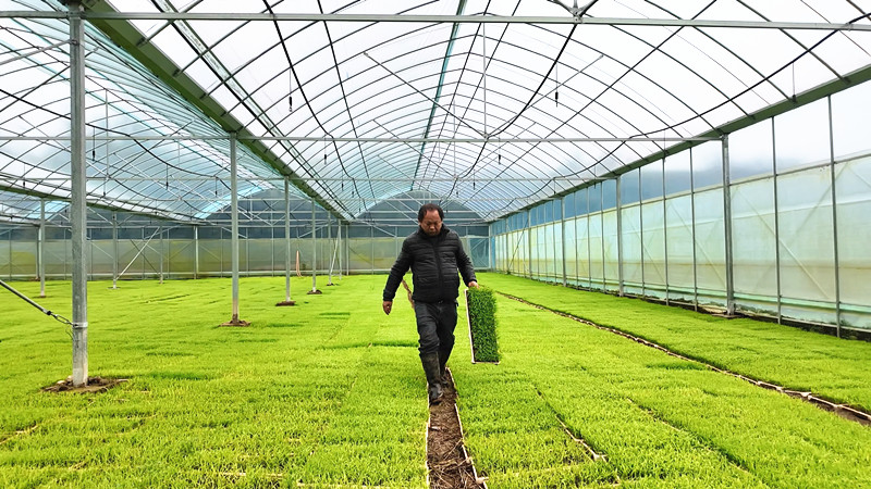 �ҷ���ũ���³�ů���� �����絾�ٷ���