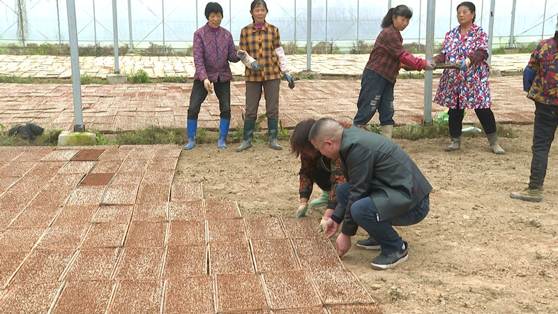 ��ũҵũ��֣�ũ��������� ���겻�󴺸�ʱ