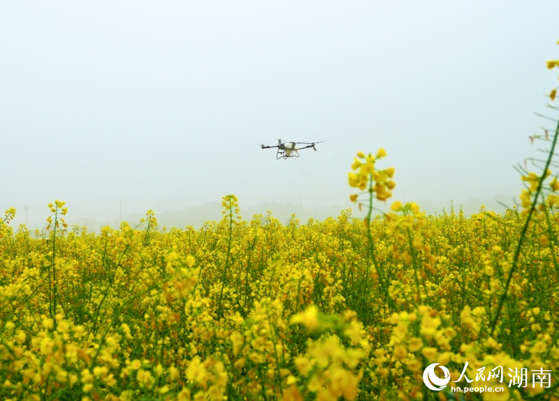 �����������Ͳ˴������������ʾ���������˻��������ϡ����������� ������