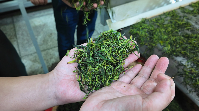 ������һƬ����Ҷ���̾��������·